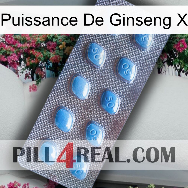 Ginseng Power X viagra3
